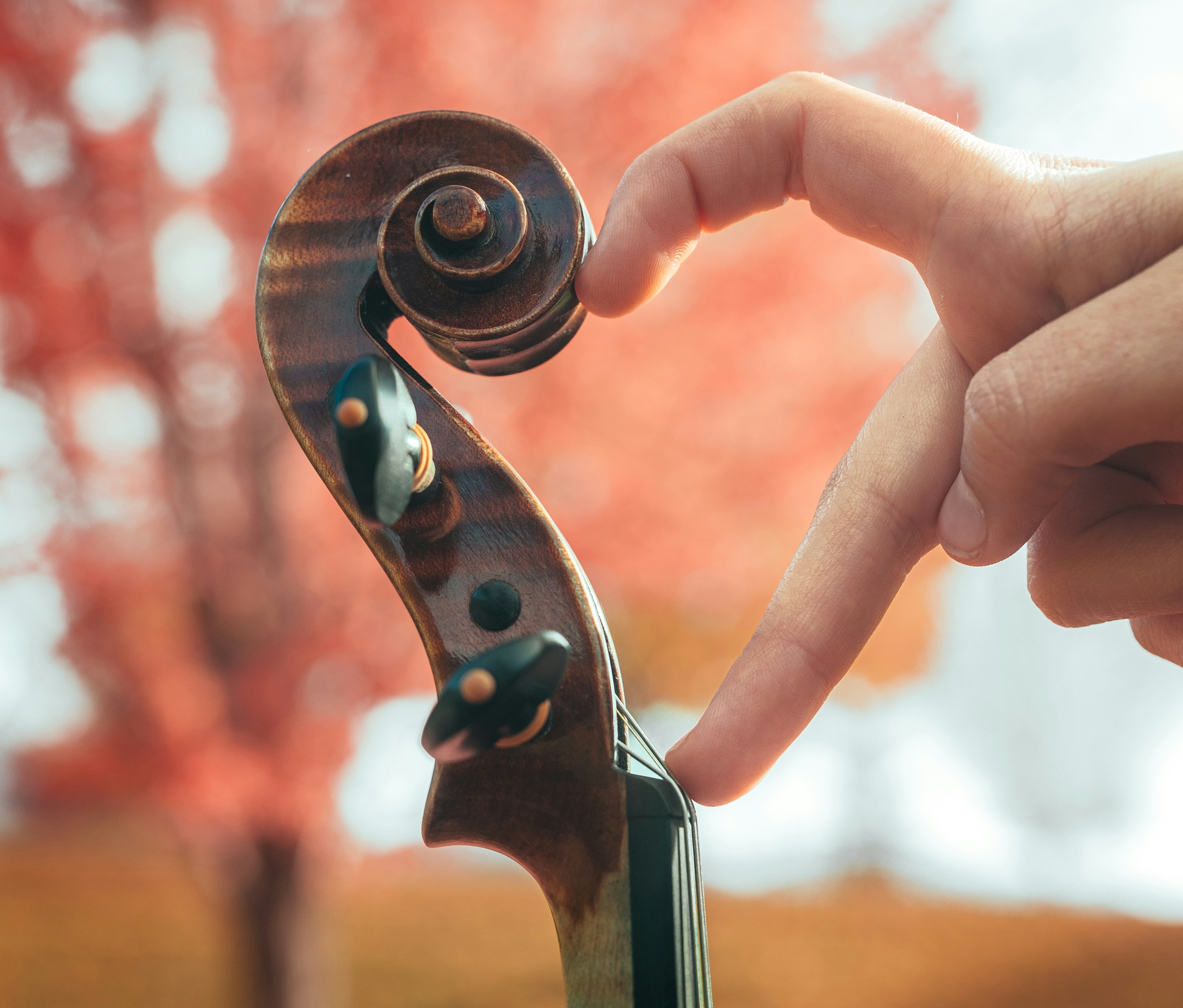 Learn music and art therapy